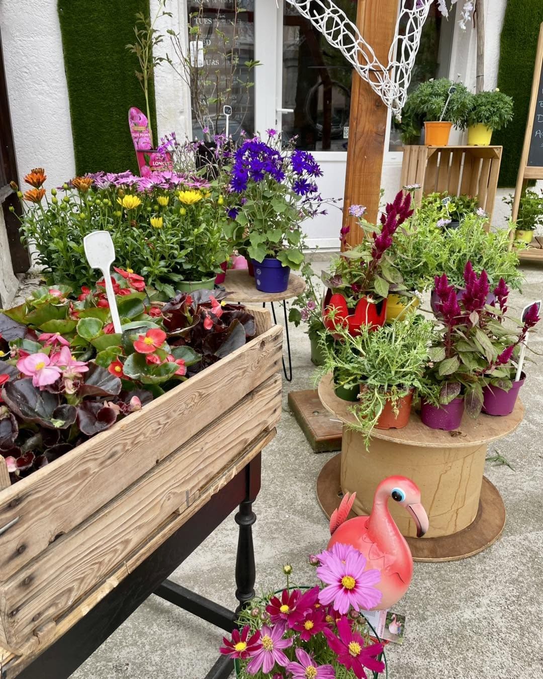 Réalisation florale — Compositions du quotidien