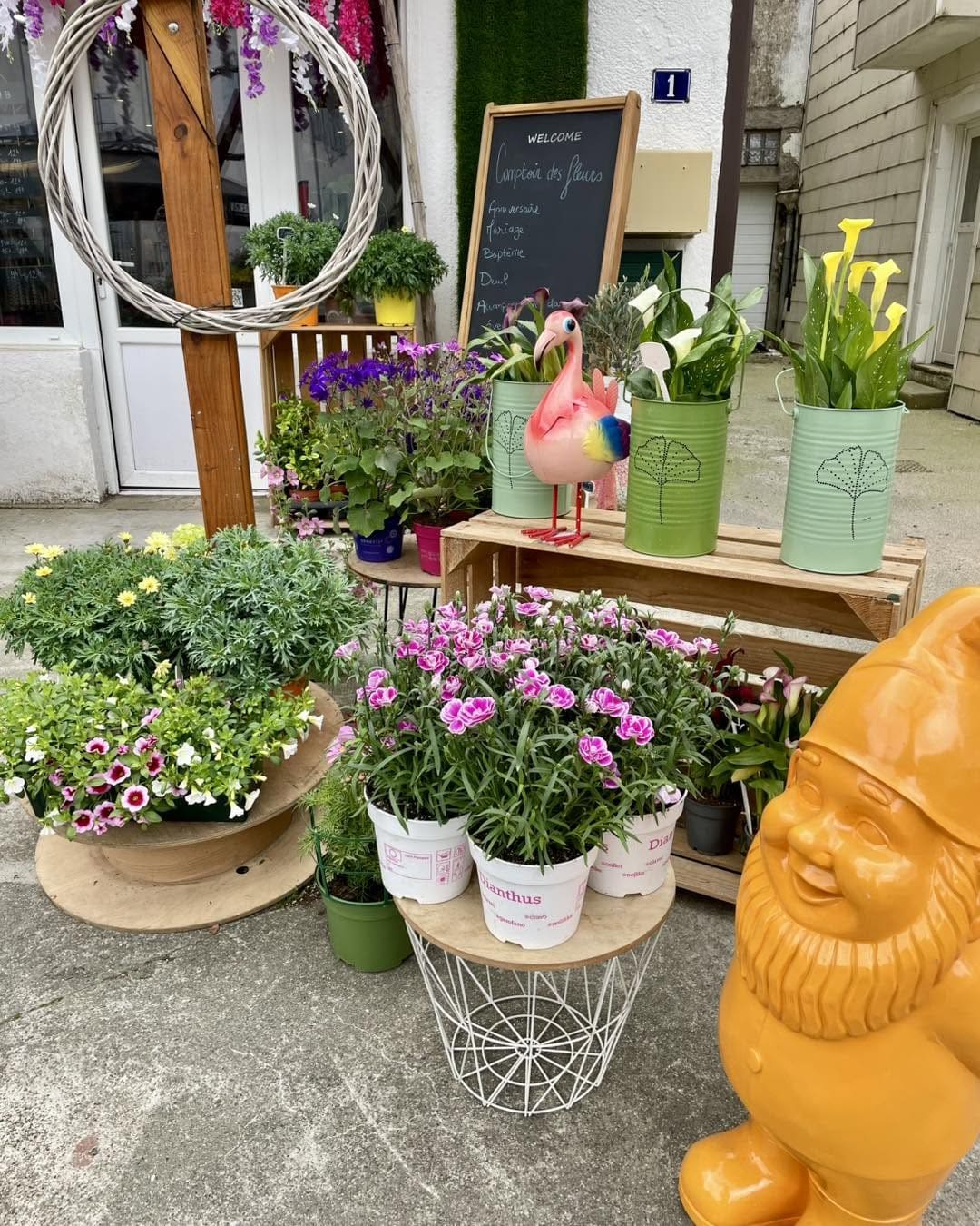 Réalisation florale — Compositions du quotidien